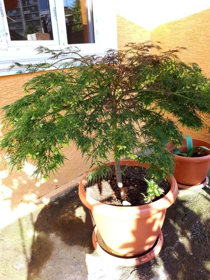 Дома для отпуска Home Батуми-10